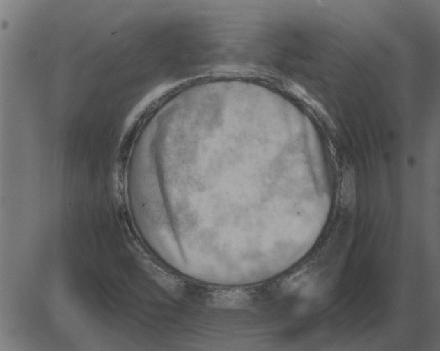 X0000087401454200705181320