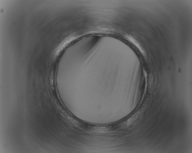 X0000087401455200705181320