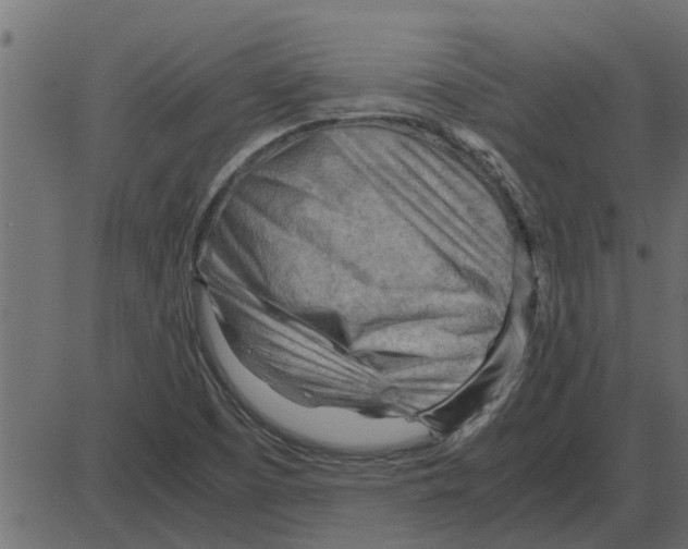 X0000087401457200705181320