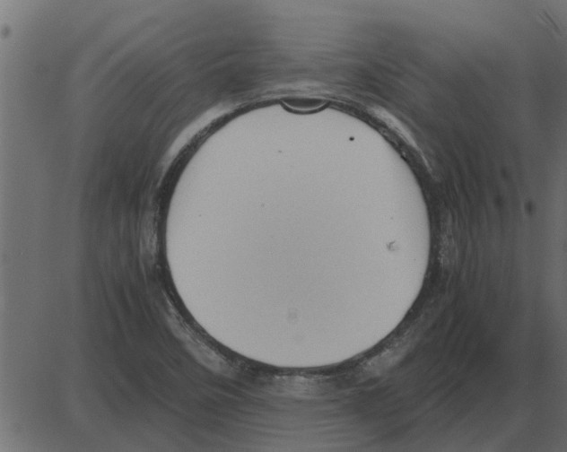 X0000087401458200705181320