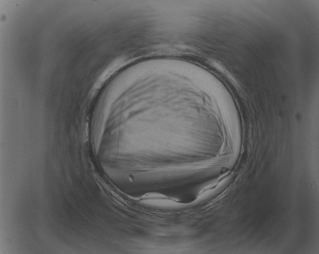 X0000087401459200705181320