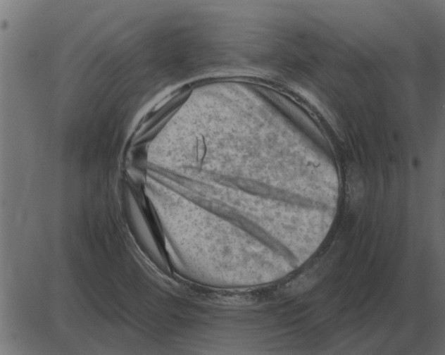 X0000087401460200705181320