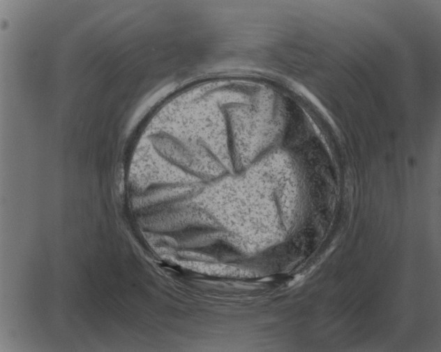 X0000087401461200705181320