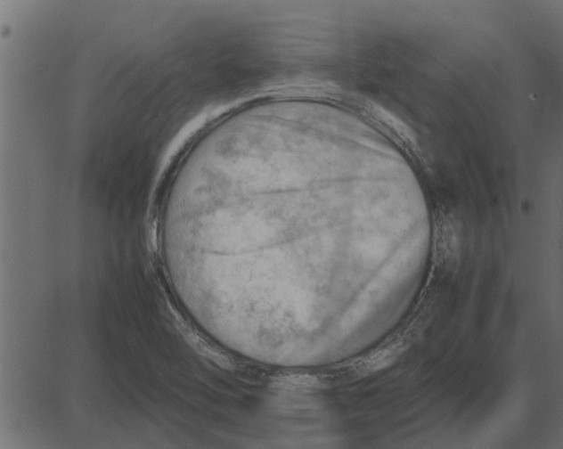 X0000087401462200705181320