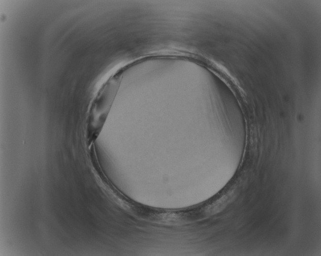 X0000087401463200705181320