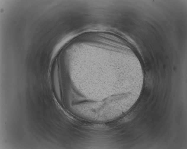 X0000087401464200705181320