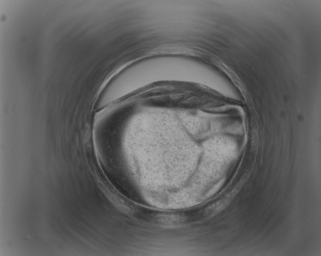 X0000087401465200705181320