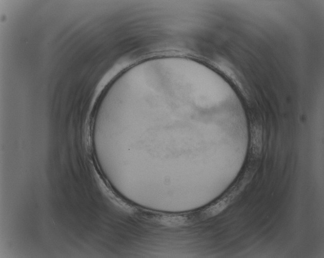 X0000087401466200705181320