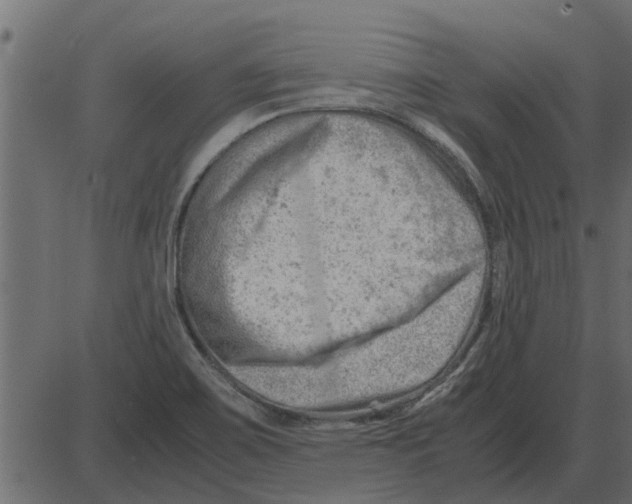 X0000087401467200705181320