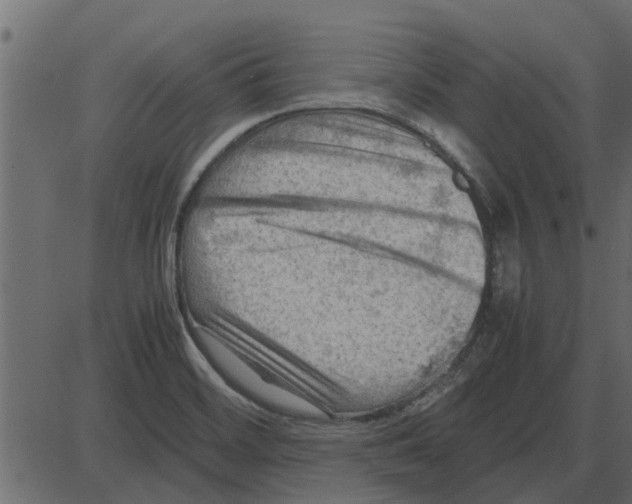 X0000087401468200705181320