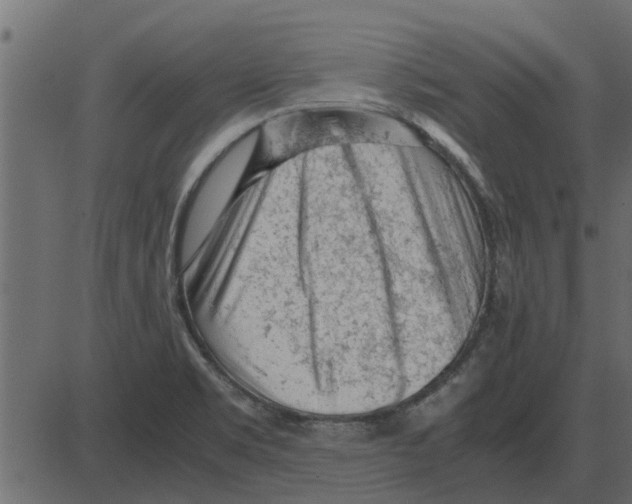 X0000087401469200705181320