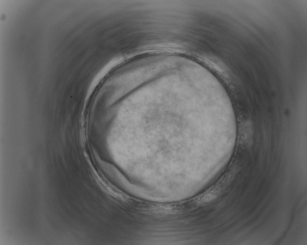 X0000087401470200705181320