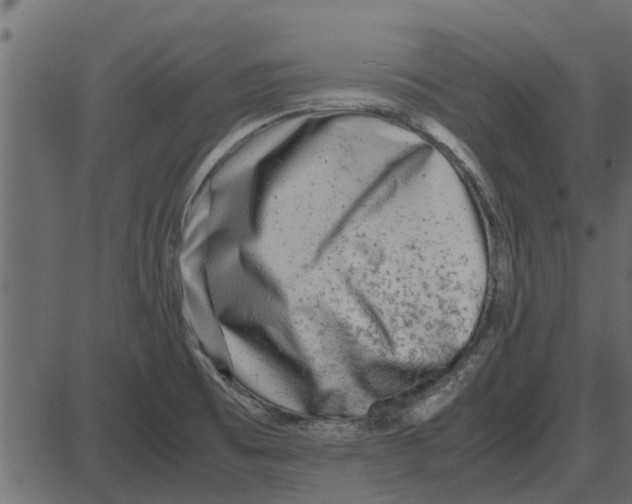 X0000087401473200705181320