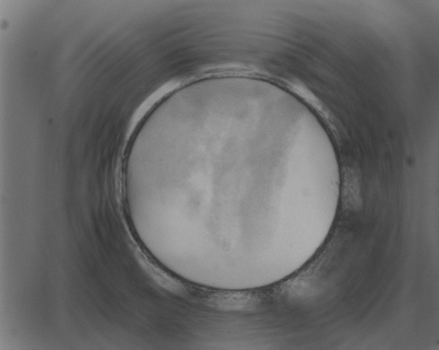 X0000087401474200705181320