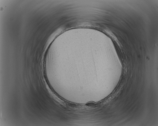 X0000087401475200705181320