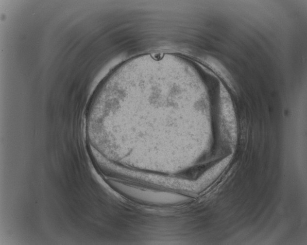 X0000087401476200705181320