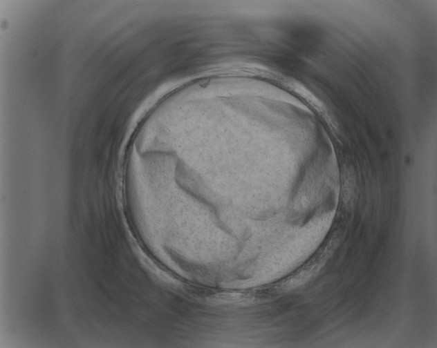 X0000087401478200705181320