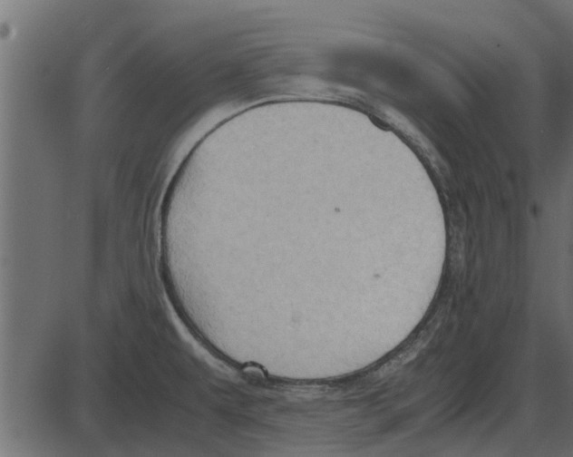 X0000087401479200705181320