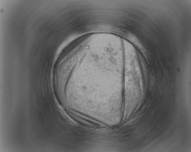 X0000087401480200705181320