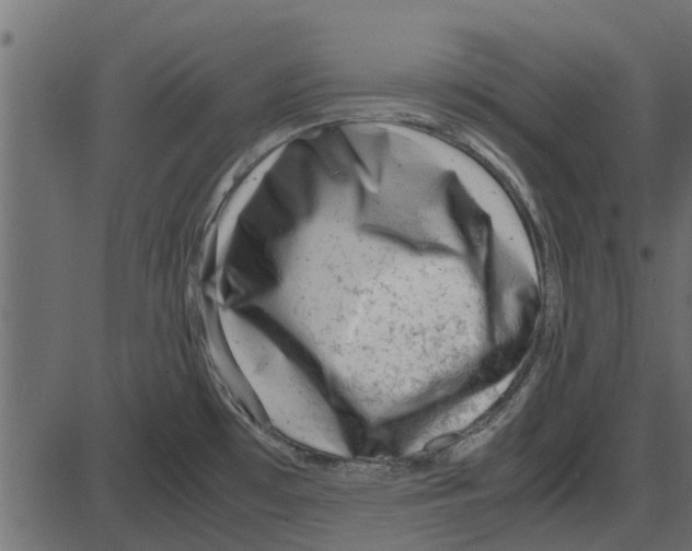 X0000087401481200705181320