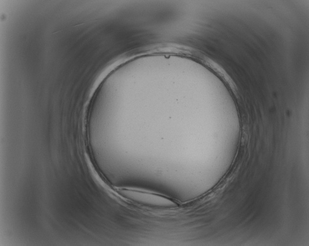 X0000087401483200705181320