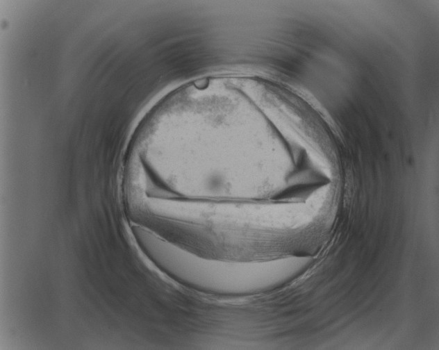 X0000087401484200705181320