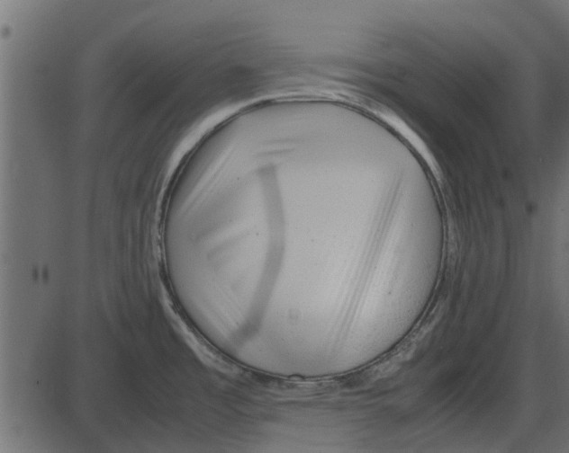 X0000087401485200705181320