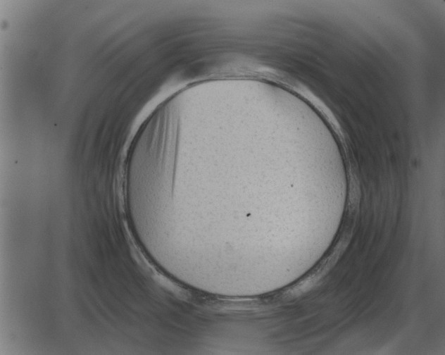 X0000087401486200705181320