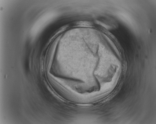 X0000087401487200705181320