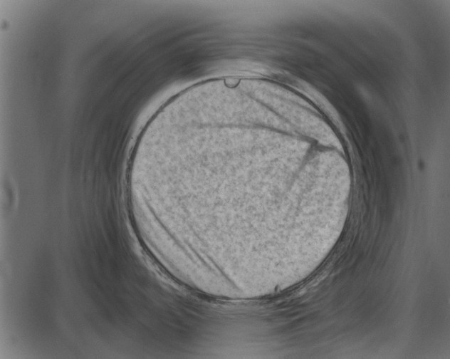 X0000087401488200705181320