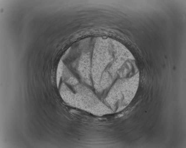 X0000087401490200705181319