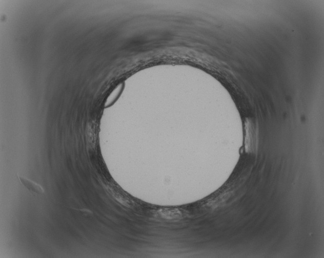 X0000087401491200705181319