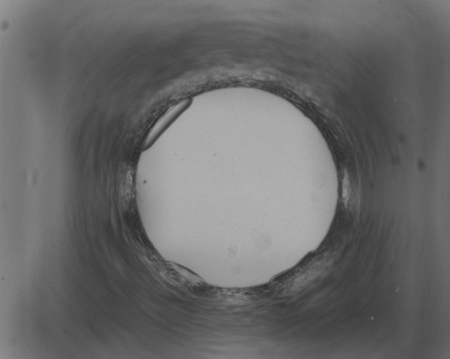 X0000087401492200705181319