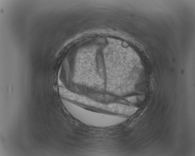 X0000087401494200705181319