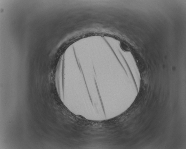 X0000087401495200705181319