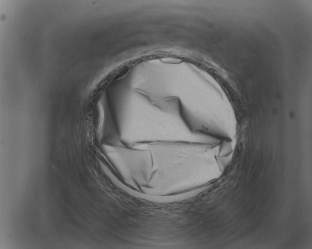 X0000087401496200705181319