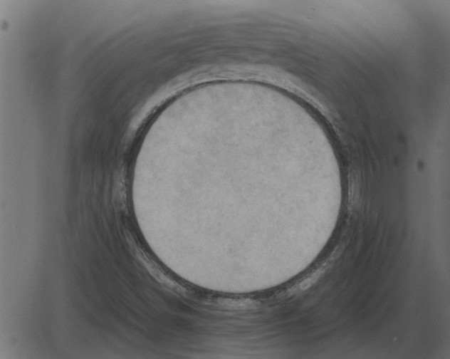 X0000087401498200705181319