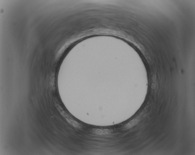 X0000087401499200705181319