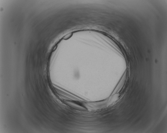 X0000087401500200705181319