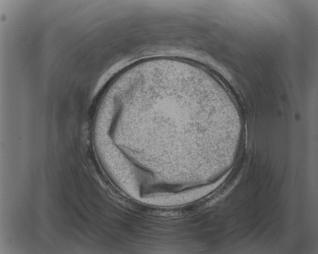 X0000087401501200705181319