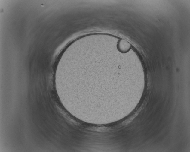 X0000087401502200705181319