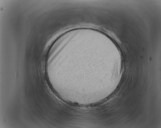 X0000087401504200705181319