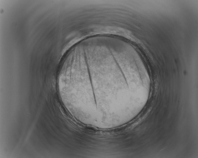 X0000087401505200705181319