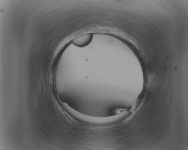 X0000087401506200705181319