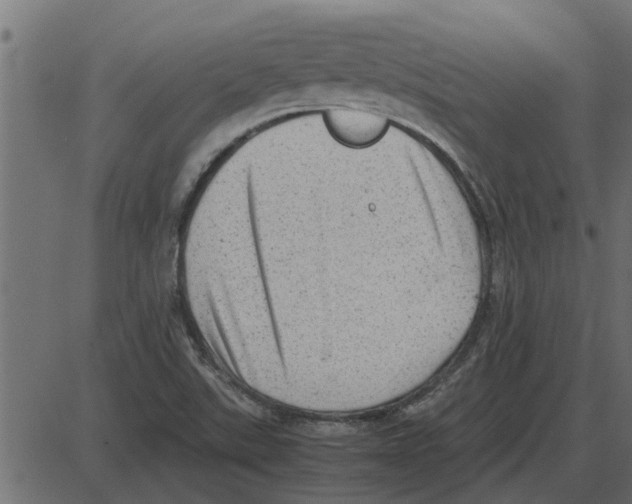 X0000087401507200705181319