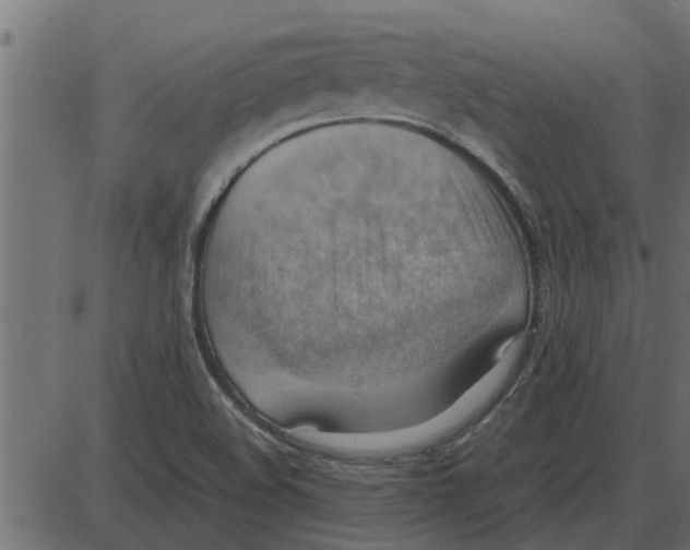 X0000087401508200705181319