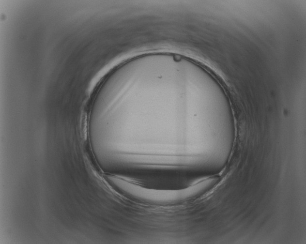 X0000087401510200705181319