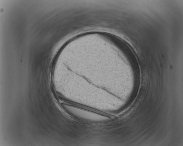 X0000087401511200705181319