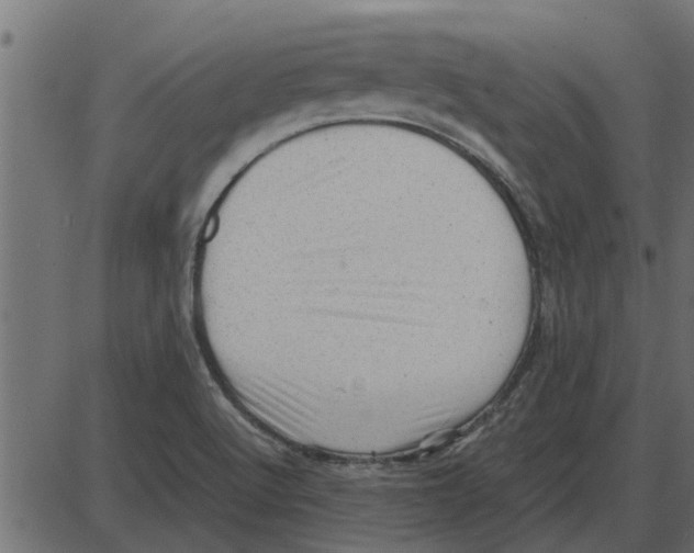 X0000087401512200705181319