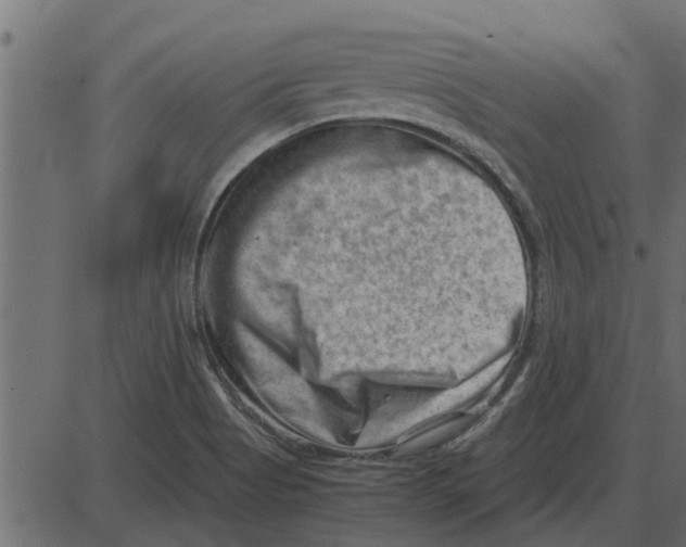 X0000087401513200705181319